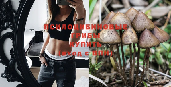 индика Абдулино