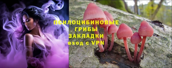 индика Абдулино