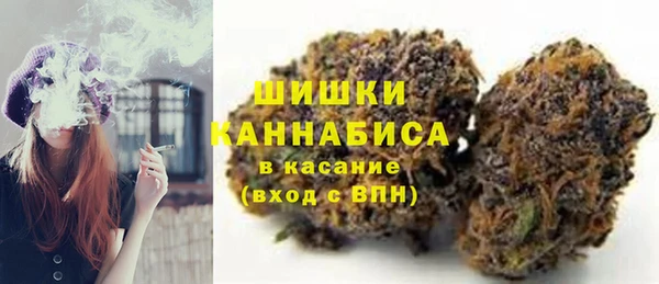 индика Абдулино